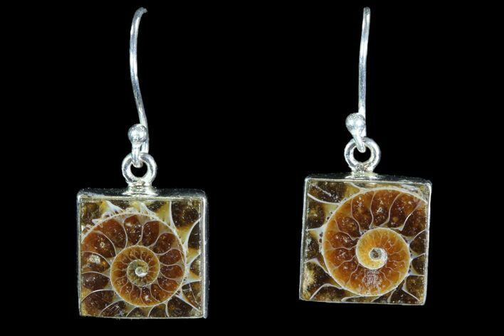 Fossil Ammonite Earrings - Sterling Silver #82253